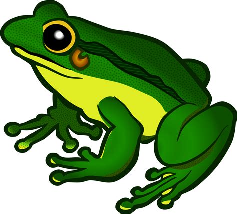 Free Frog Clipart Transparent, Download Free Frog Clipart Transparent ...