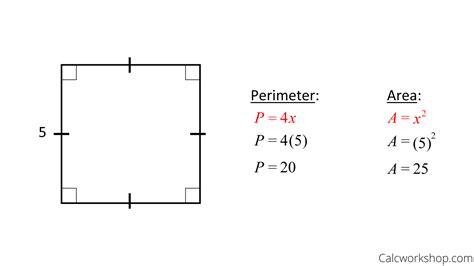 Area Perimeter Of A Square