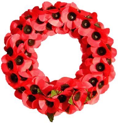 Remembrance day transparent background poppy png - fikoincorporated