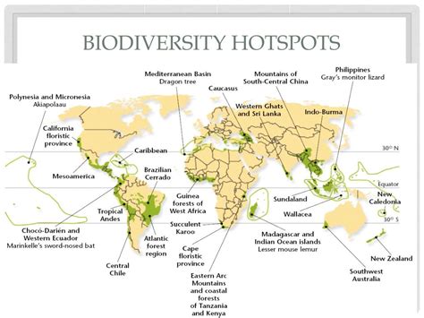 Biodiversity Hotspots Map