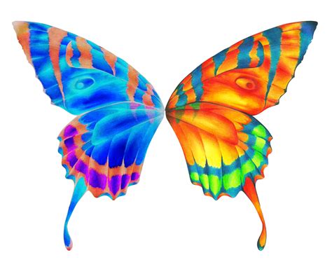 Free Butterfly Wings Cliparts, Download Free Butterfly Wings Cliparts ...