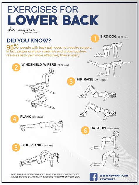 Printable Exercises For Lower Back Pain