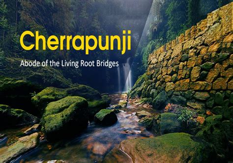 Do You Know the Mystery Behind the Living Root Bridges of Cherrapunji ...