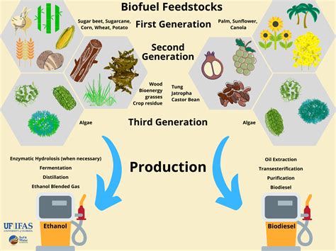 Get to know biofuels - Soil, Water, and Ecosystem Sciences