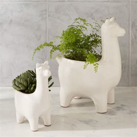 Best Modern Pots and Planters from West Elm | Apartment Therapy