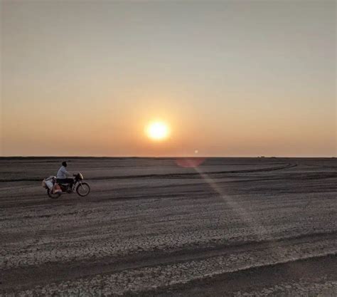 Little Rann of Kutch : wildlife photography in winter. What to expect ...