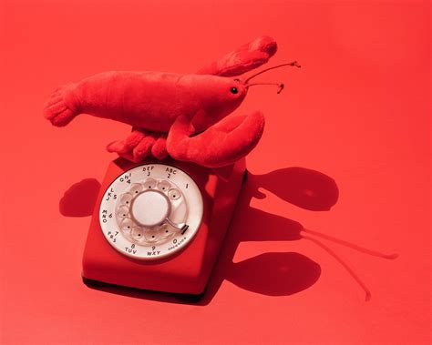 Salvador Dali’s Lobster Phone — Playful Stop Motion and Product ...