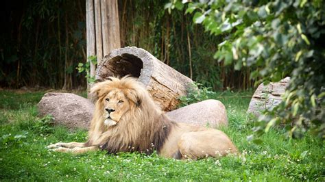 Leipzig Zoo, Leipzig, Germany - Heroes Of Adventure