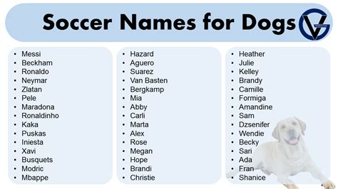 Soccer Names for Dogs- Soccer Dog Names - GrammarVocab