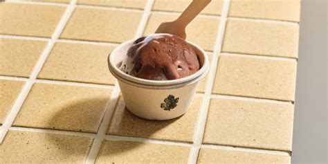 The world’s first vegan gelato made without dairy or plant-based ...