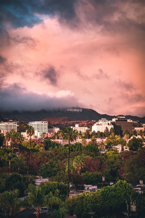 View of the Hollywood Hills from my balcony during a beautiful LA ...