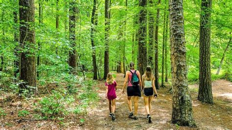 Lake Norman Hiking: Explore the Best Trails at saFishing