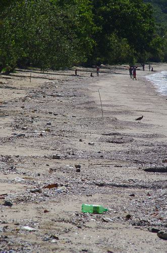 Yarrabah Beach, near Cairns, QLD, 09/10/12 | d69689a | Russell Cumming ...