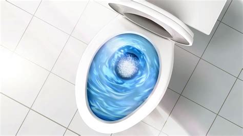 Ultimate Guide to Low-flow Toilets | HowStuffWorks