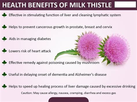 Milk thistle extract Silymarin: Silymarin is able to neutralise the ...