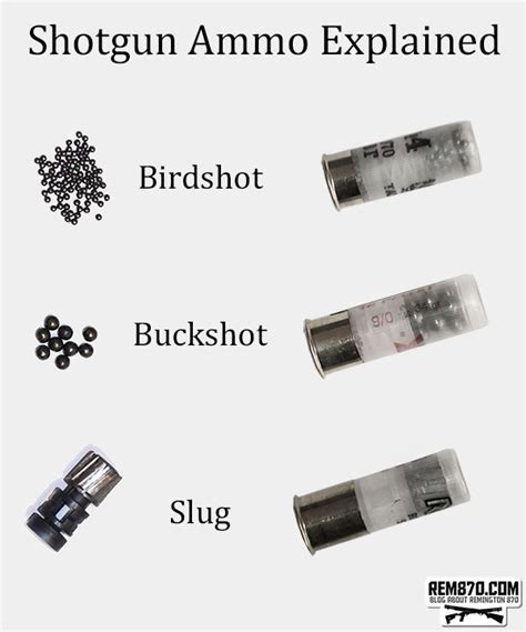 Shotgun Ammunition Explained - what is Slug?