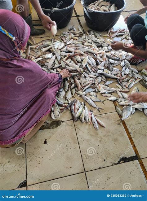 Various Types of Fish are Sold in the Traditional Market Stock Photo ...