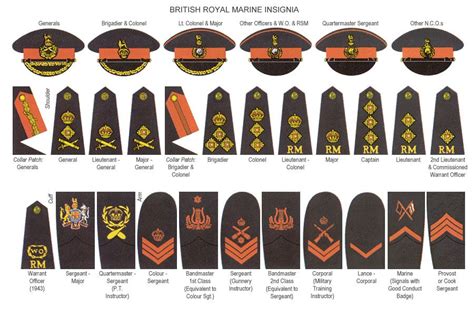 WW2 Royal Marine Ranks Royal Marines Ranks, Navy Officer Ranks, British ...