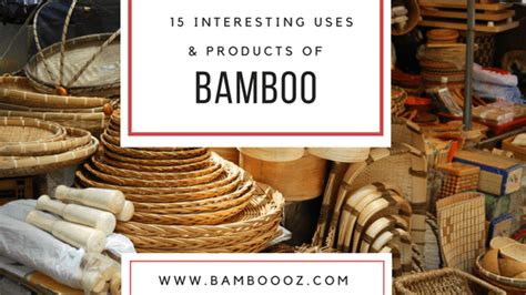 Benefits of Bamboo Archives - Bamboooz