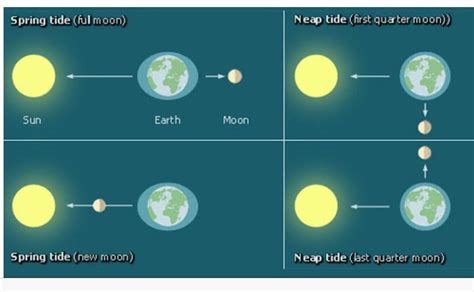 Tides Diagram