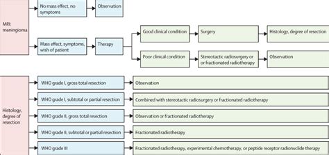 EANO guidelines for the diagnosis and treatment of meningiomas - The ...