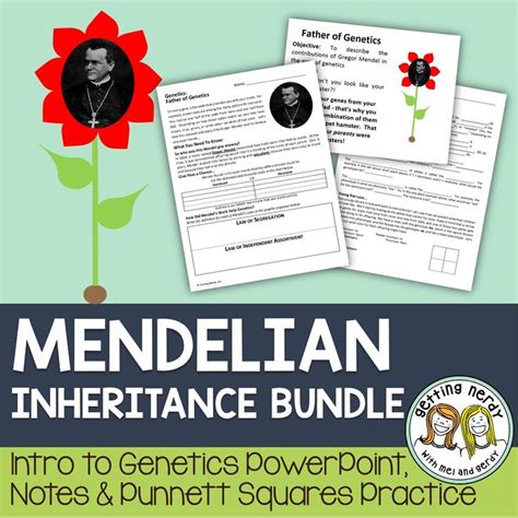 Punnett Squares - Mendel and Inheritance - Distance Learning | Biology ...