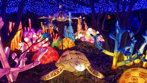 6 Things To Know About The Bronx Zoo Holiday Lights Exhibit