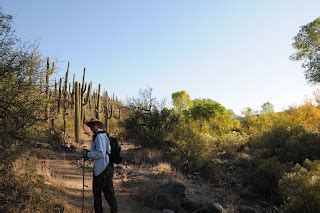 Arizona Hiking: DRAGONFLY TRAIL