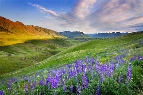 Oregon Northern California Spring landscape photography