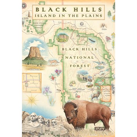 Black Hills National Forest Print - Black Hills Parks & Forests Association