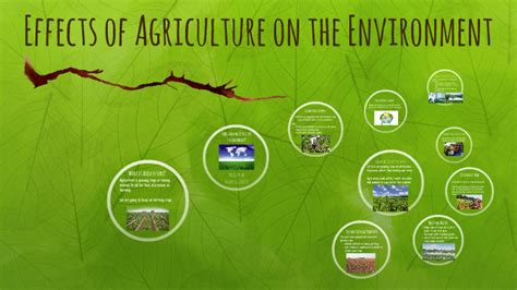 💐 How agriculture affects the environment. Agriculture and the ...