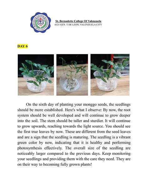 Monggo Seeds Experiment Day 1 to Day 7.pdf