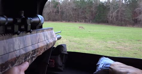 New air gun takes deer down as good or better than a rifle - GetZone