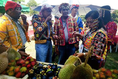 Kidapawan celebrates Timpupo Festival | Photos | GMA News Online