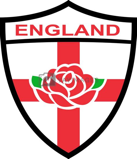 Rugby England English Rose Shield by patrimonio Vectors & Illustrations ...