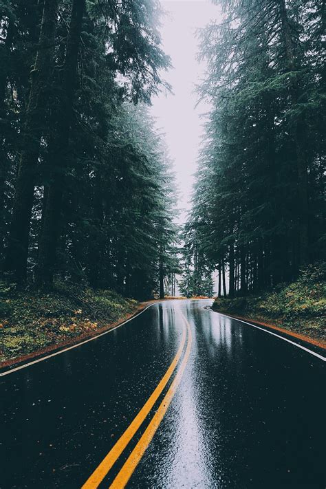 Rainy afternoon day. Landscapes photo by nickverbelchuk http://rarme ...