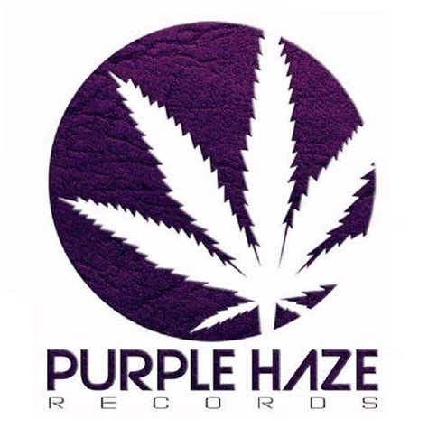 Purple Haze Logo