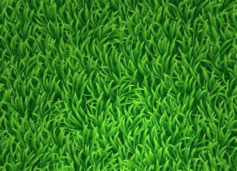 Cartoon Grass | Grass vector, Grass background, Green grass background