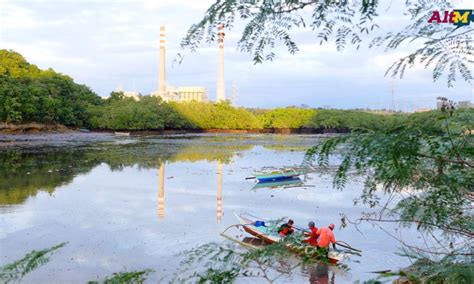 Pagbilao coal-fired power plant: Epekto sa mga mangingisda