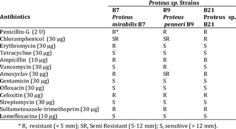 What Is the Best Antibiotic to Treat Proteus Mirabilis - LanekruwDudley