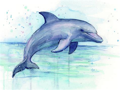 Watercolor Dolphin Painting - Facing Right Painting by Olga Shvartsur