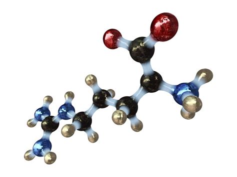 Amino Acid Definition and Examples