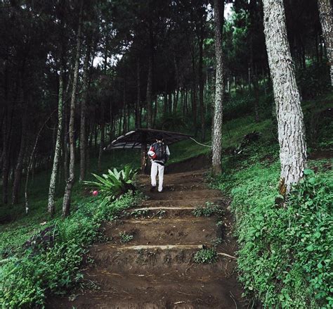 Menikmati Matahari Terbit di Gunung Putri Lembang, Bandung – BookingTogo