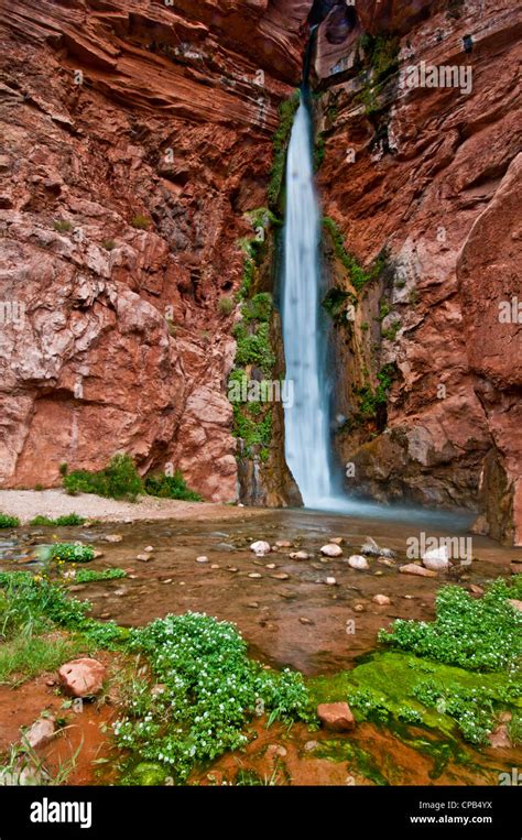 Grand canyon national park deer creek hi-res stock photography and ...