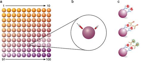 Luminex bead assay principle