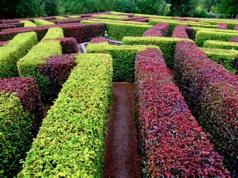 48 "Mind-Boggling" Hedge Maze & Garden Labyrinth Designs (Pictures)