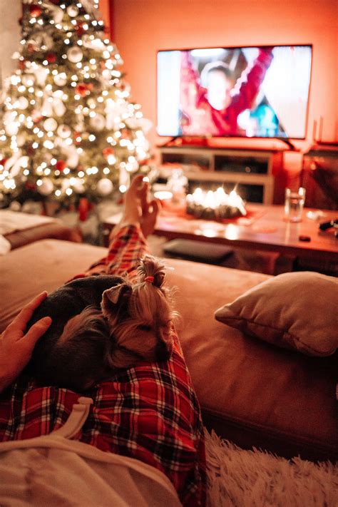 Man Relaxing on a Sofa with His Dog at Christmas Free Stock Photo ...