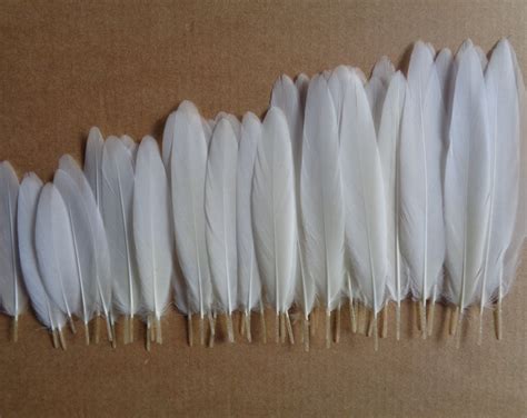 White Dove Feathers naturally Shed Cruelty Free - Etsy