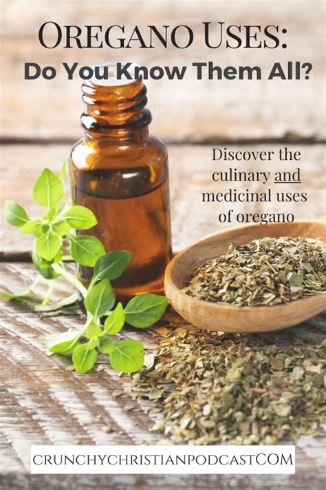 Oregano Uses: Do You Know Them All? - ThriveCast