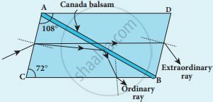 Discuss about Nicol prism. - Physics | Shaalaa.com